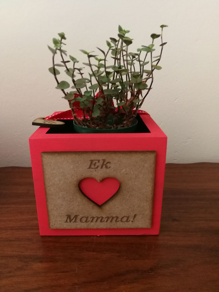 MDF Boksie Geverf – Groei – + Blommetjie