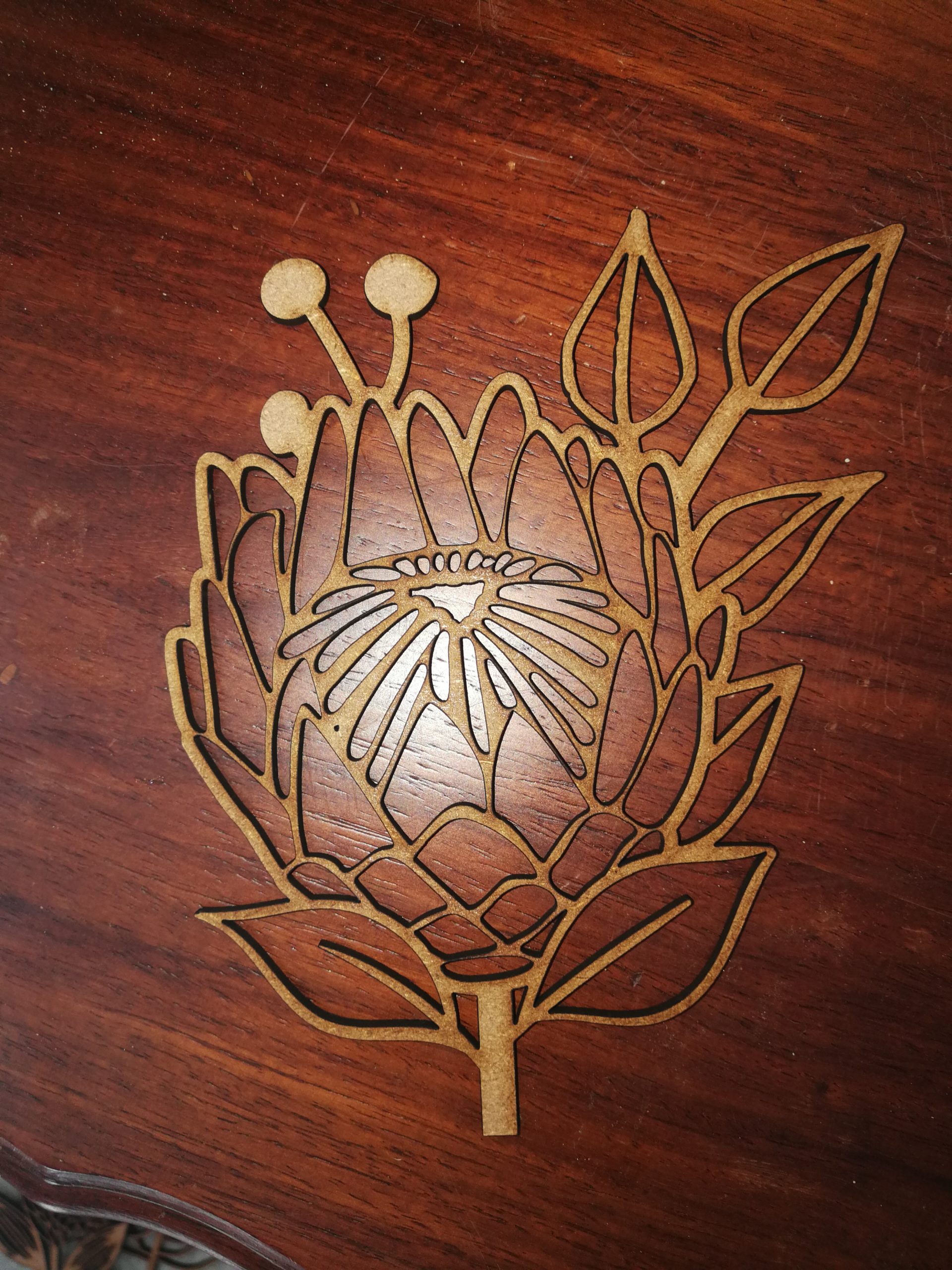 Protea 2