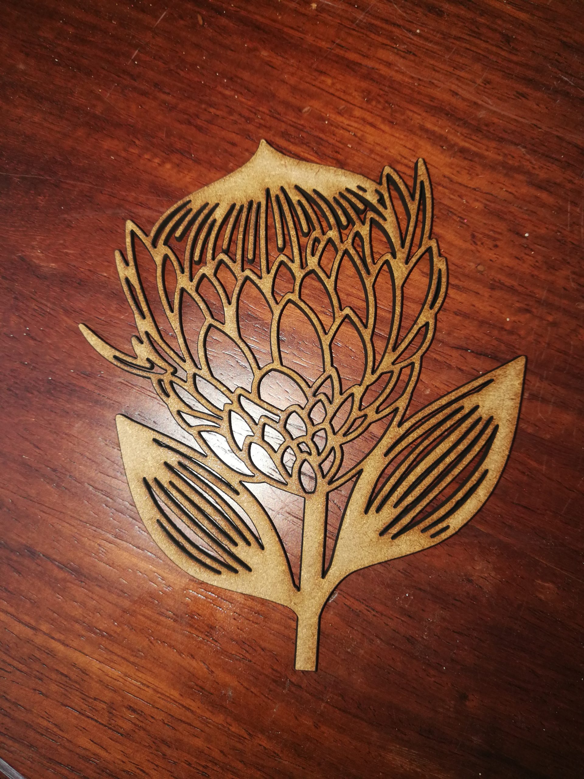 Protea 1